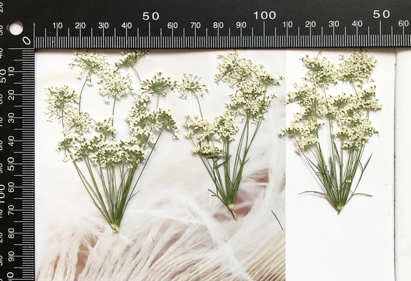 5-7cm/12pcs,Snow Tiny Flowers  - Craft Embellishment recension och pris