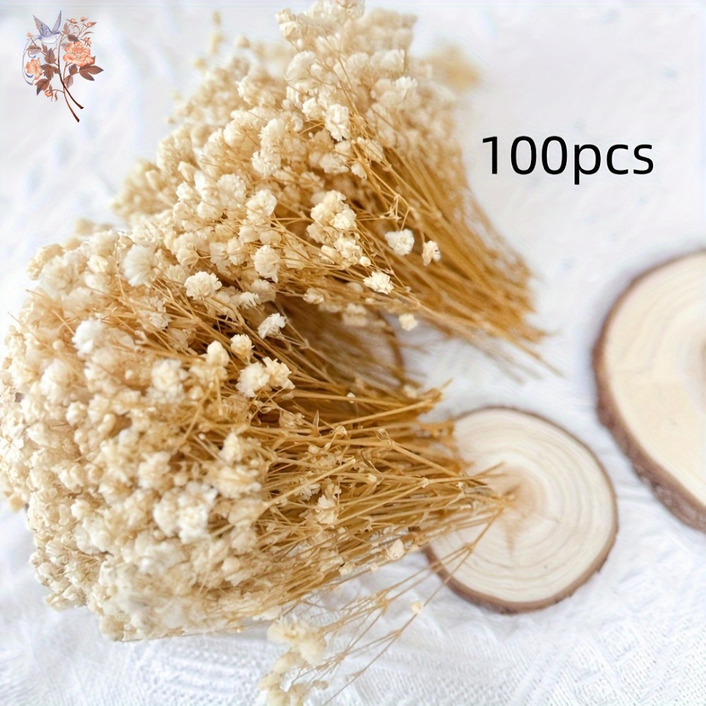 100pcs Mini Dried Baby's Breat - Craft Embellishment recension och pris
