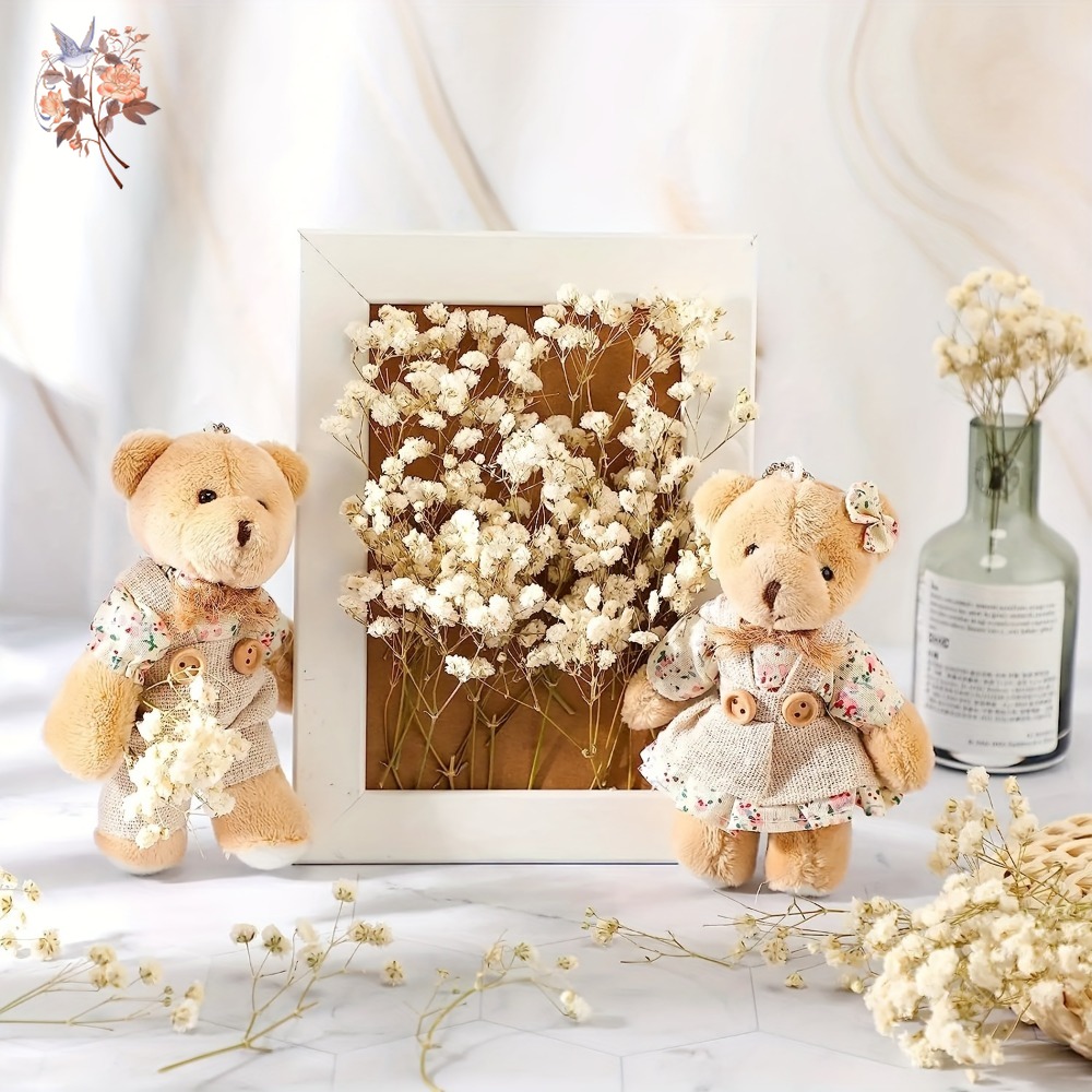 100pcs Mini Dried Baby's Breat - Craft Embellishment recension och pris